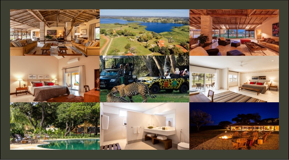 CAIMAN: _Miranda + 36km; _Diversified environments; _Luxury accommodation; _Overlans safaris, Jaguars.
